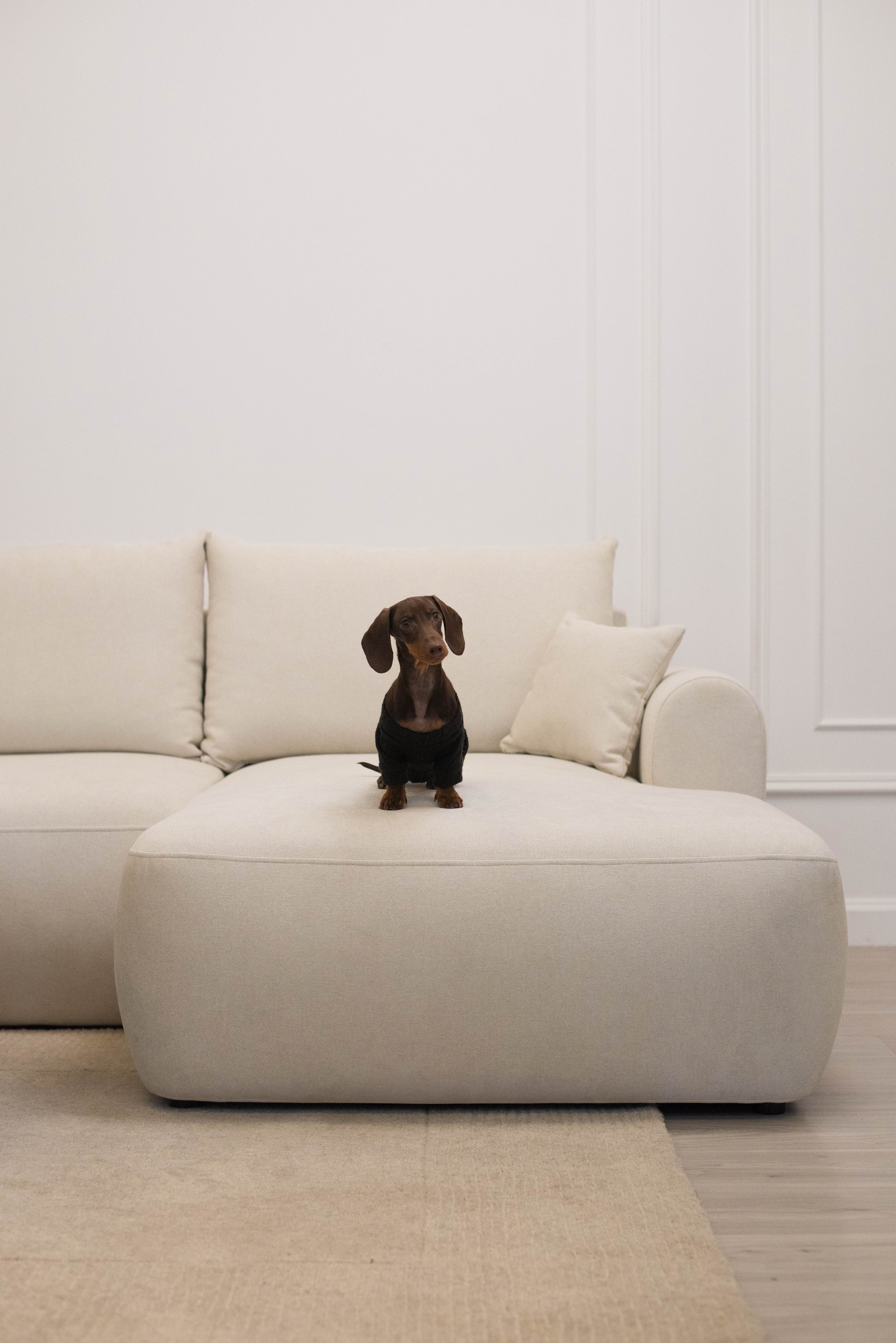 selsey-ovo-mini-ecksofa-l-f-rmig-rechtsseitig-mit-schlaffunktion-und-stauraum-cr image 5