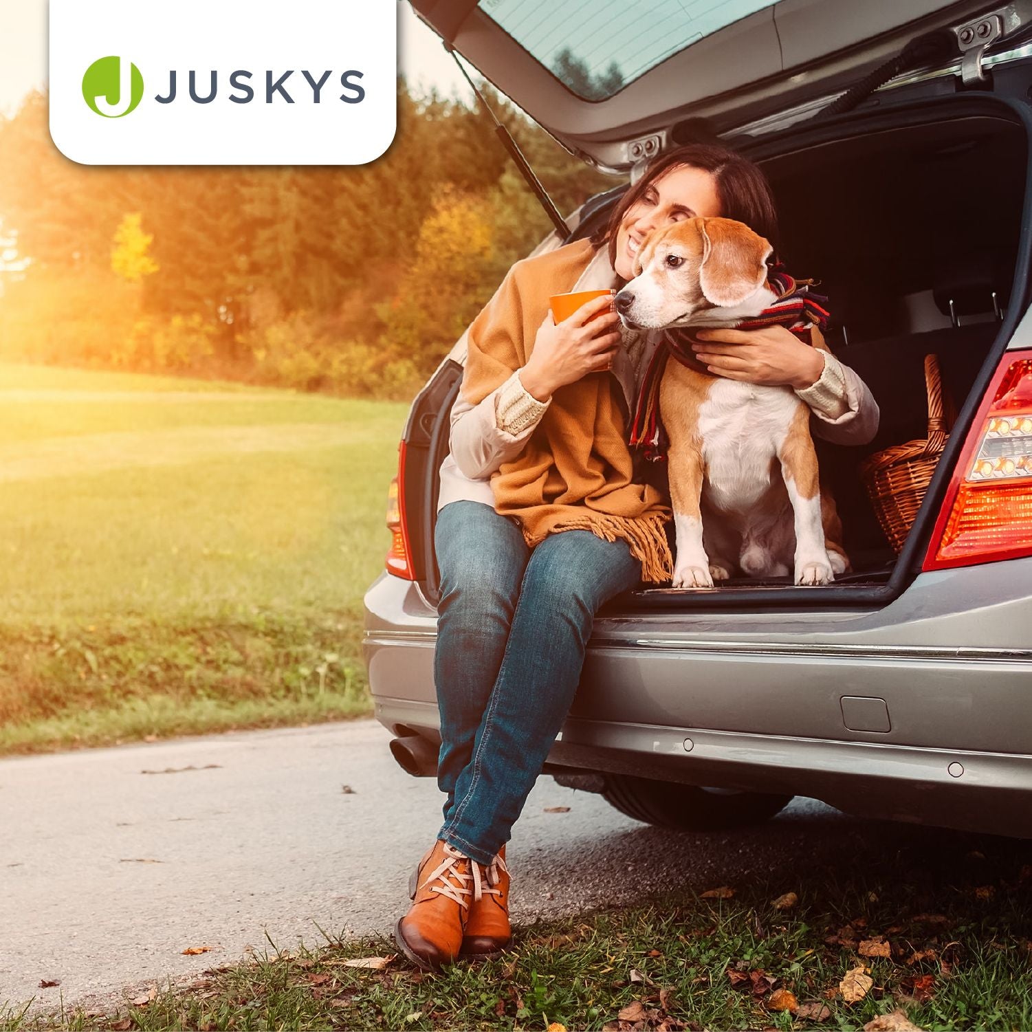 juskys-lassie-hundebox-auto-faltbar-gr-e-s-grau-stoff image 7