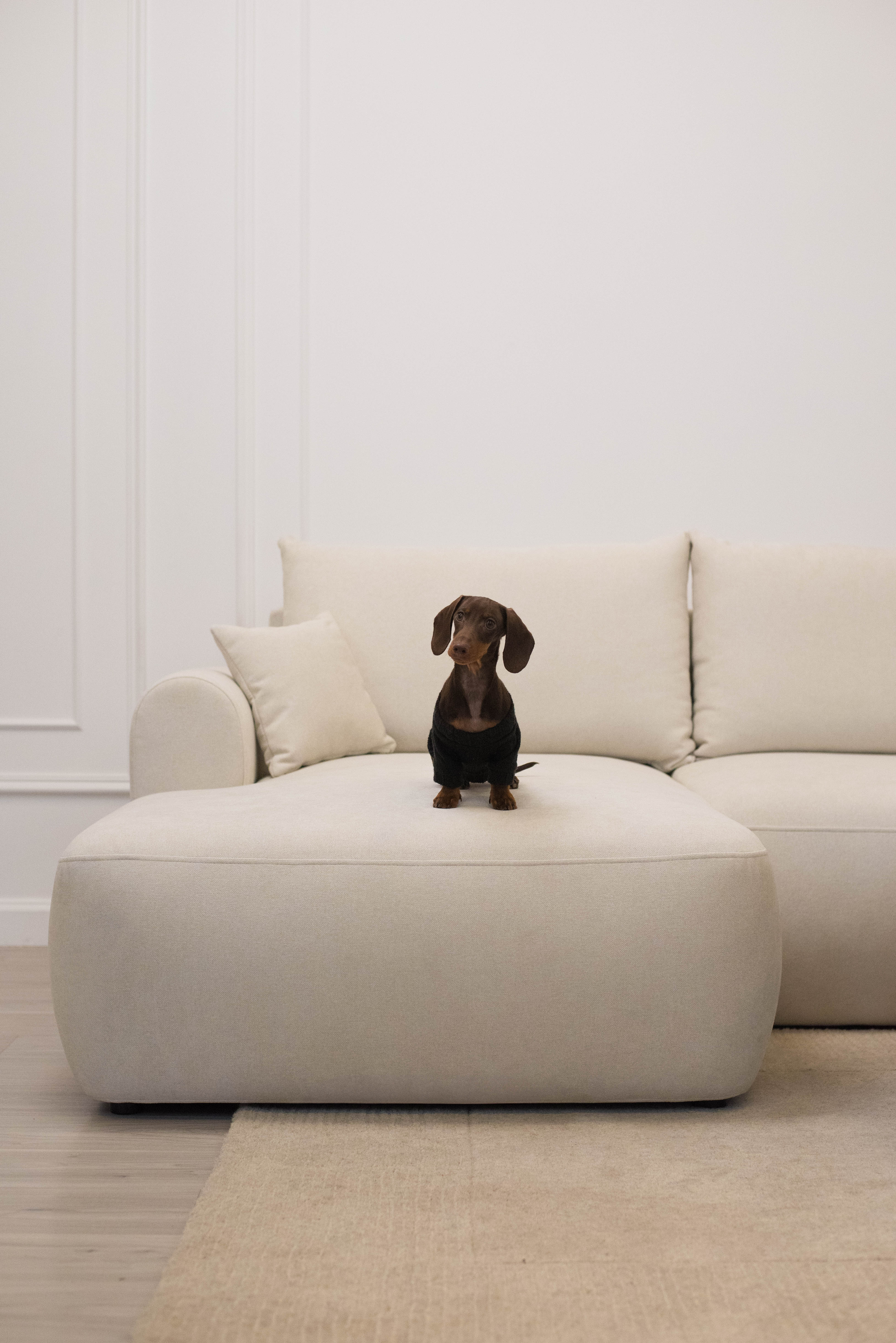 selsey-ovo-mini-ecksofa-mit-schlaffunktion-l-form-links-creme-chenille-mit-staur image 5